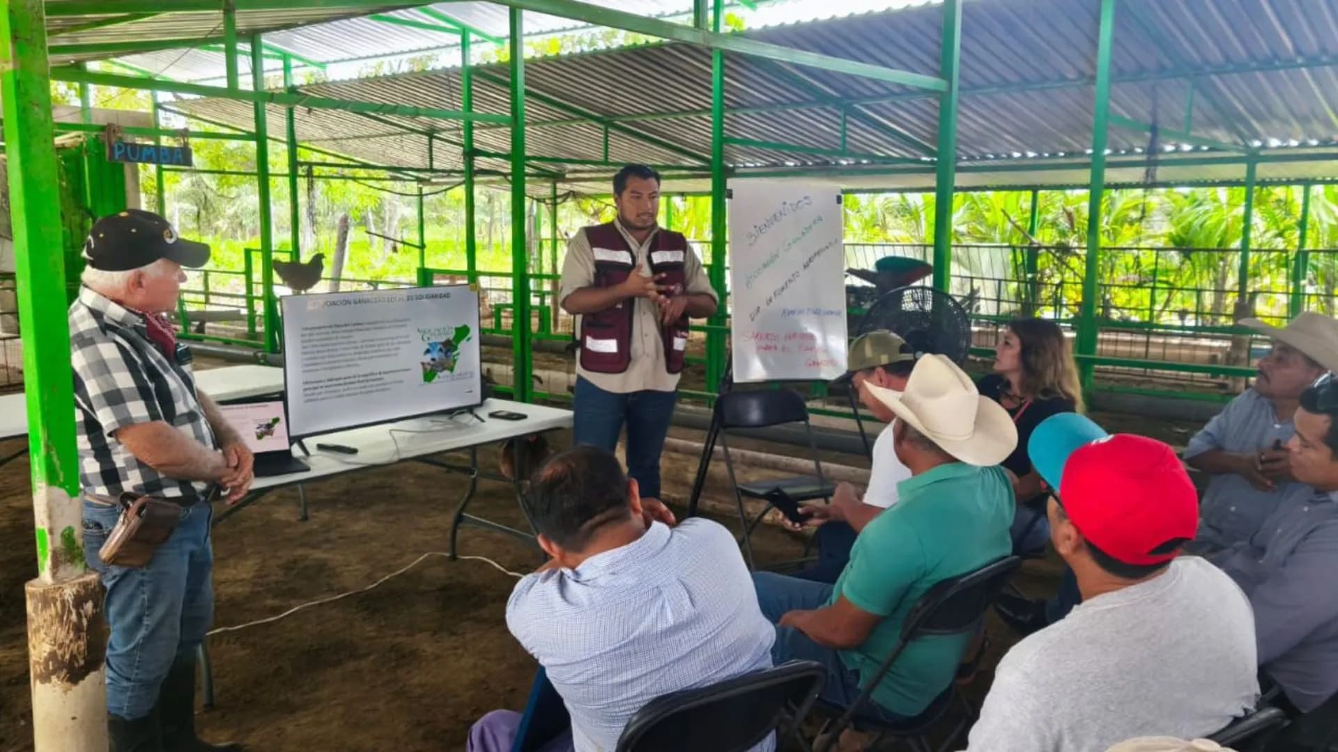 Gobierno de Playa del Carmen promueve el uso del sargazo para fortalecer la ganadería
