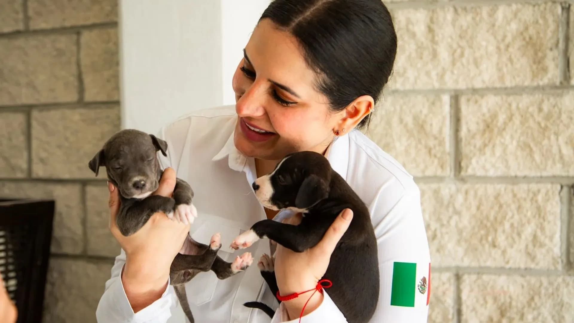 PETA Latino reconoce al gobierno de Estefanía Mercado por liderazgo en bienestar animal 
